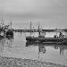 Scarborough Harbour 170509_2